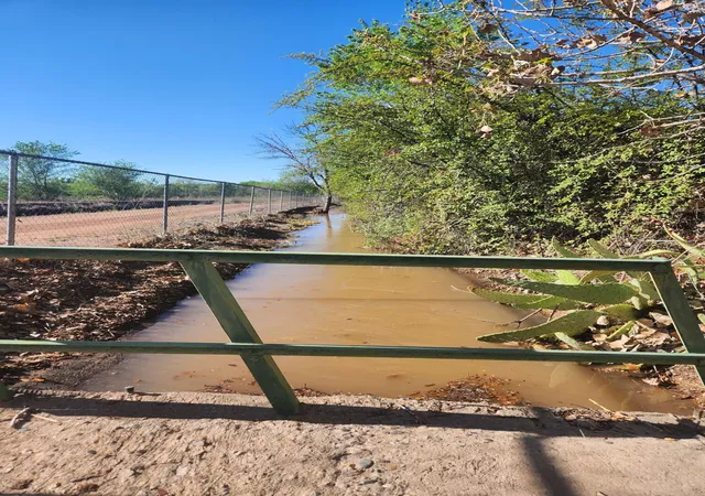 Photo 3 of Land for sale at 30 Pluma Rd, Belen, NM 87002 | MLS# 1099152 | Listing updated on 2026-09-10