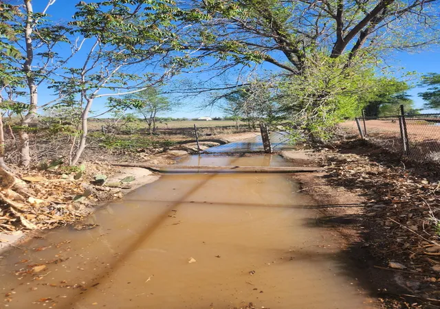 Photo 4 of Land for sale at 30 Pluma Rd, Belen, NM 87002 | MLS# 1099152 | Listing updated on 2026-09-10