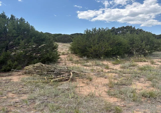 Land for sale at Wilson Ranch Lot#8, Tajique, NM 87016 | MLS# 1100606