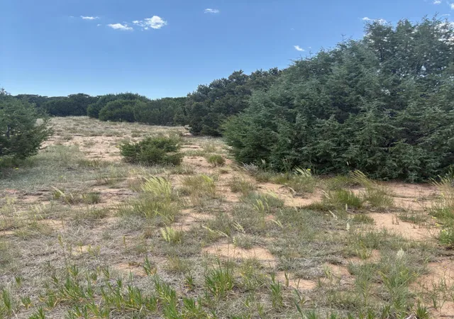 Photo 2 of Land for sale at Wilson Ranch Lot#8, Tajique, NM 87016 | MLS# 1100606 | Listing updated on 2026-09-09