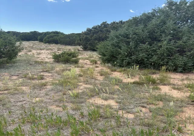 Photo 3 of Land for sale at Wilson Ranch Lot#8, Tajique, NM 87016 | MLS# 1100606 | Listing updated on 2026-09-09