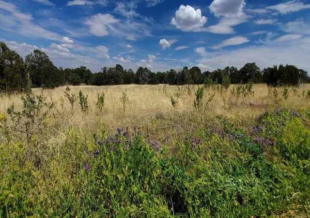 Photo 3 of Land for sale at 14 Thunder Hawk, Tijeras, NM 87059 | MLS# 1106548 | Listing updated on 2026-09-21