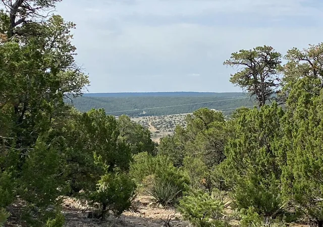 Photo 1 of Land for sale at 5 Mormon Rd, Edgewood, NM 87015 | MLS# 1106575 | Listing updated on 2026-09-06