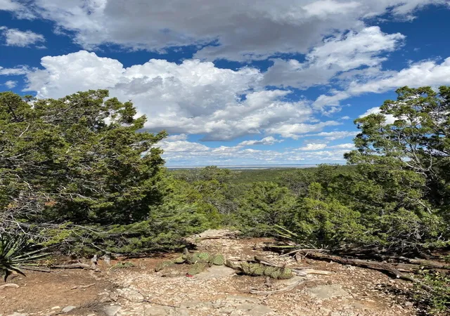 Photo 2 of Land for sale at 5 Mormon Rd, Edgewood, NM 87015 | MLS# 1106575 | Listing updated on 2026-09-06