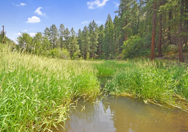 Photo 3 of Single family home for sale at 26821 New Mexico 126, Jemez Springs, NM 87025 | MLS# 1106655 | Listing updated on 2026-08-31