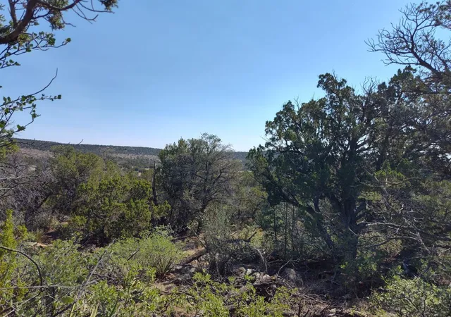 Photo 1 of Sale Pending at Apple Mountain Rd, Estancia, NM 87016 | MLS# 1107121 | Listing updated on 2026-09-04