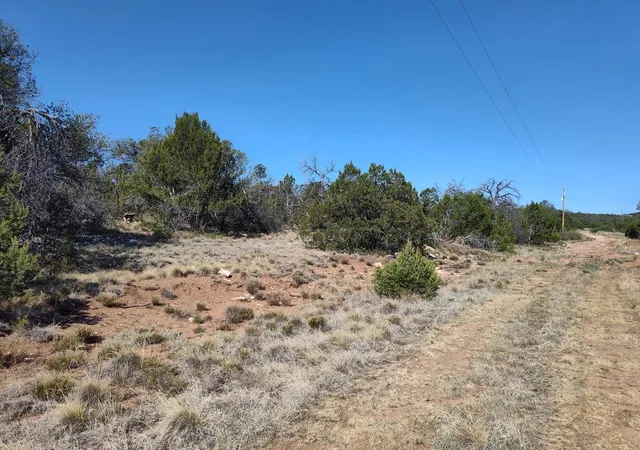 Photo 2 of Sale Pending at Apple Mountain Rd, Estancia, NM 87016 | MLS# 1107121 | Listing updated on 2026-09-04