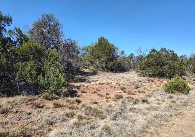 Photo 3 of Sale Pending at Apple Mountain Rd, Estancia, NM 87016 | MLS# 1107121 | Listing updated on 2026-09-04