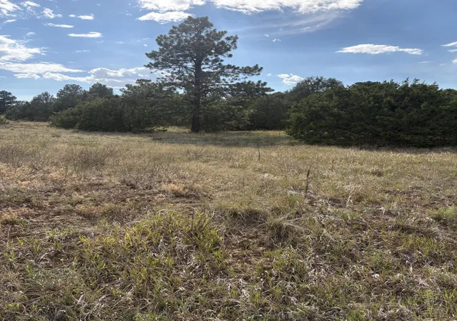 Photo 2 of Sale Pending at 11 Eagle Ln, Tijeras, NM 87059 | MLS# 1107133 | Listing updated on 2026-09-13