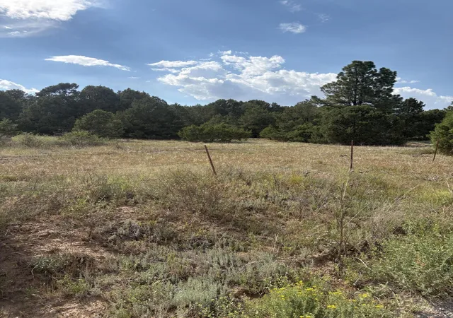 Photo 3 of Sale Pending at 11 Eagle Ln, Tijeras, NM 87059 | MLS# 1107133 | Listing updated on 2026-09-13