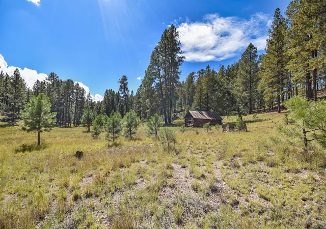 Photo 1 of Land for sale at 275 Acres Jemez Mountain Forest Rd 10, Jemez Springs, NM 87025 | MLS# 1107782 | Listing updated on 2026-09-11