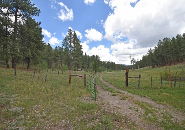 Photo 2 of Land for sale at 275 Acres Jemez Mountain Forest Rd 10, Jemez Springs, NM 87025 | MLS# 1107782 | Listing updated on 2026-09-11