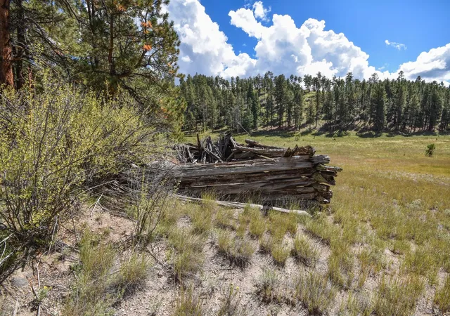 Photo 4 of Land for sale at 275 Acres Jemez Mountain Forest Rd 10, Jemez Springs, NM 87025 | MLS# 1107782 | Listing updated on 2026-09-27