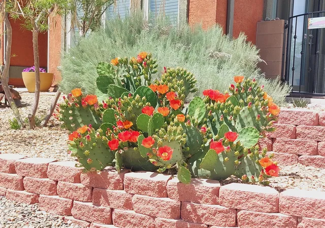 Photo 2 of Sale Pending at 3960 Mora River Ave Sw, Los Lunas, NM 87031 | MLS# 1108046 | Listing updated on 2026-09-12