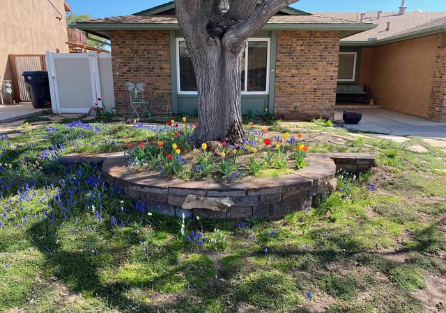 Photo 2 of Sale Pending at 7108 Vivian Dr Ne, Albuquerque, NM 87109 | MLS# 1108520 | Listing updated on 2026-09-05