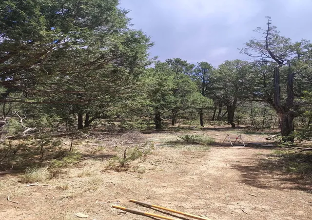 Photo 1 of Sale Pending at 12 Quail Hollow Rd, Tijeras, NM 87059 | MLS# 1109758 | Listing updated on 2026-09-01
