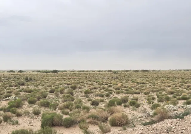 Photo 4 of Land for sale at Vl Rge Lot 3 Block 522 #15, Veguita, NM 87062 | MLS# 1110121 | Listing updated on 2026-08-31