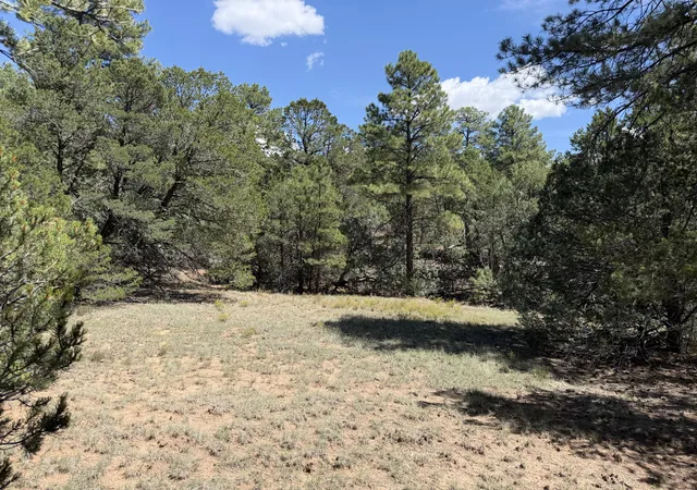 Photo 1 of Land for sale at 137 Raven Rd, Tijeras, NM 87059 | MLS# 1110094 | Listing updated on 2026-09-04