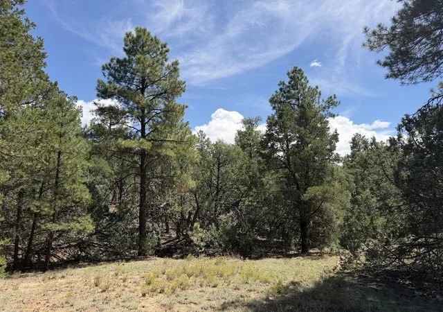 Photo 2 of Land for sale at 137 Raven Rd, Tijeras, NM 87059 | MLS# 1110094 | Listing updated on 2026-09-04