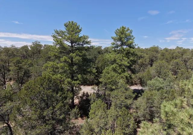 Photo 3 of Land for sale at 137 Raven Rd, Tijeras, NM 87059 | MLS# 1110094 | Listing updated on 2026-09-04