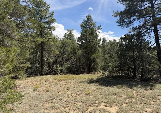 Photo 4 of Land for sale at 137 Raven Rd, Tijeras, NM 87059 | MLS# 1110094 | Listing updated on 2026-09-04