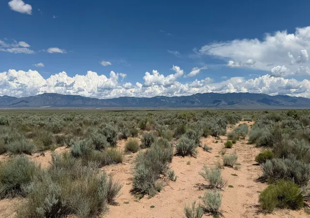 Photo 2 of Land for sale at 28 31 Ursula Dr, Belen, NM 87002 | MLS# 1110147 | Listing updated on 2026-08-31