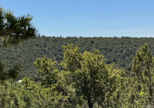 Photo 2 of Land for sale at 30 Rancho Verde Rd, Tijeras, NM 87059 | MLS# 1110216 | Listing updated on 2026-09-04