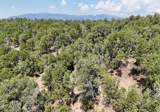 Photo 3 of Land for sale at 26 & 30 Rancho Verde Rd, Tijeras, NM 87059 | MLS# 1110220 | Listing updated on 2026-09-01