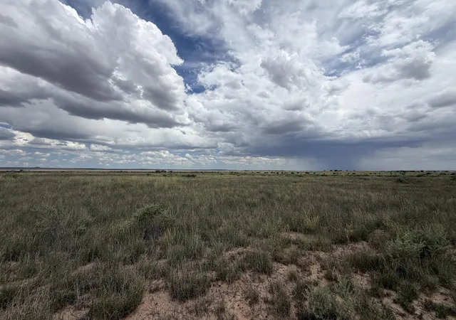 Photo 1 of Land for sale at Lot 39 Morgan St, Moriarty, NM 87035 | MLS# 1110249 | Listing updated on 2026-09-09