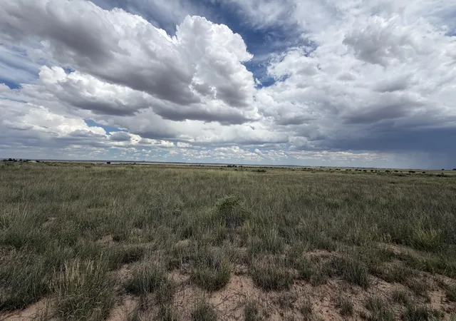 Photo 3 of Land for sale at Lot 39 Morgan St, Moriarty, NM 87035 | MLS# 1110249 | Listing updated on 2026-09-09