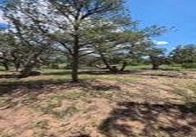 Photo 2 of Single family home for sale at 3 Deer Run Trl, Pie Town, NM 87827 | MLS# 1110373 | Listing updated on 2026-09-08