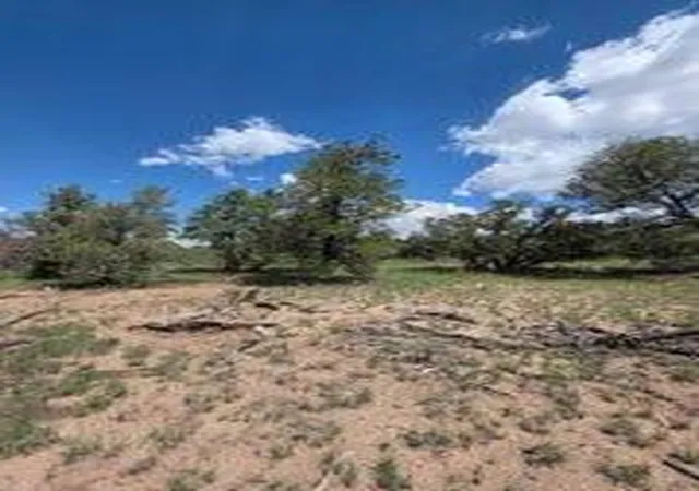 Photo 3 of Single family home for sale at 3 Deer Run Trl, Pie Town, NM 87827 | MLS# 1110373 | Listing updated on 2026-09-08