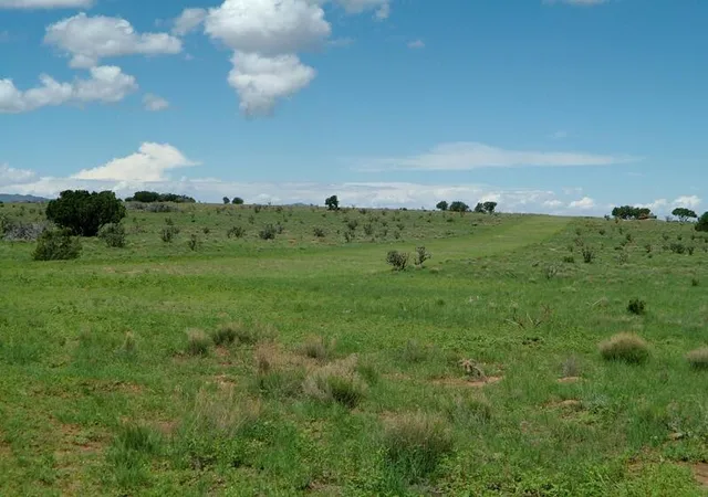 Photo 3 of Land for sale at 1008 Chupadero Rd, Mountainair, NM 87036 | MLS# 1110415 | Listing updated on 2026-09-05