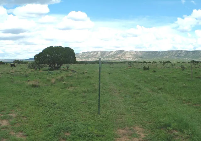 Photo 4 of Land for sale at 1008 Chupadero Rd, Mountainair, NM 87036 | MLS# 1110415 | Listing updated on 2026-09-05