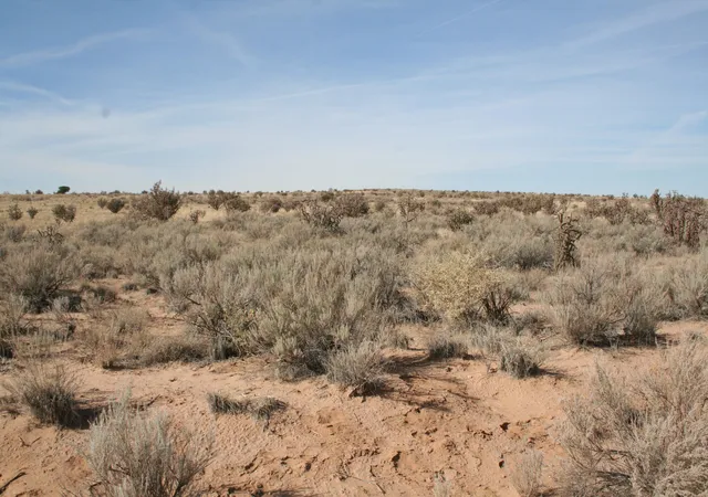 Photo 1 of Land for sale at 2009 17th Avenue Ne, Rio Rancho, NM 87144 | MLS# 1110440 | Listing updated on 2026-09-05