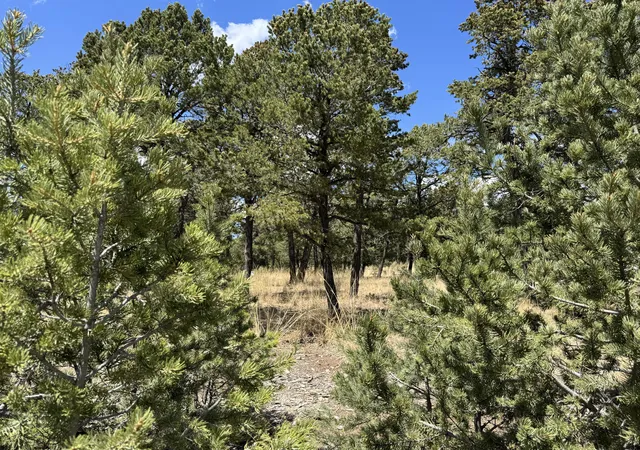 Photo 1 of Land for sale at 17 Wild Wings Cir, Pecos, NM 87552 | MLS# 1110459 | Listing updated on 2026-09-08