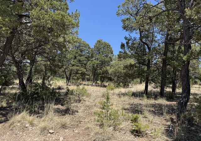 Photo 2 of Land for sale at 17 Wild Wings Cir, Pecos, NM 87552 | MLS# 1110459 | Listing updated on 2026-09-08