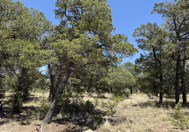 Photo 3 of Land for sale at 17 Wild Wings Cir, Pecos, NM 87552 | MLS# 1110459 | Listing updated on 2026-09-08