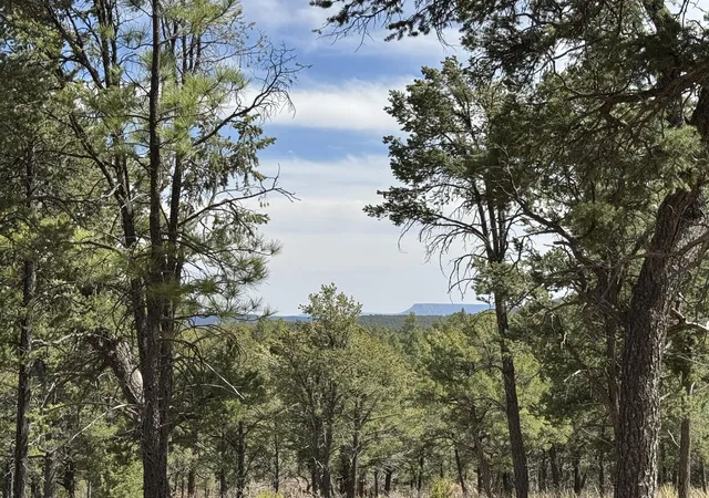 Photo 2 of Land for sale at Birds Of A Feather, Pecos, NM 87552 | MLS# 1110463 | Listing updated on 2026-09-12