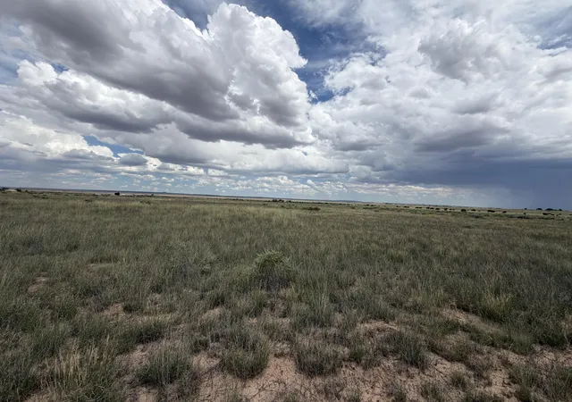 Photo 4 of Land for sale at Lot 48 Pegasus, Moriarty, NM 87035 | MLS# 1110483 | Listing updated on 2026-09-09