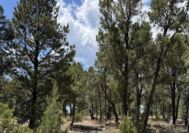 Photo 1 of Land for sale at 7 Dancing Hawk Dr, Pecos, NM 87552 | MLS# 1110500 | Listing updated on 2026-09-08