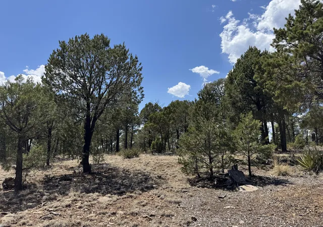 Photo 2 of Land for sale at 7 Dancing Hawk Dr, Pecos, NM 87552 | MLS# 1110500 | Listing updated on 2026-09-08