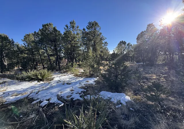 Photo 6 of Land for sale at 7 Dancing Hawk Dr, Pecos, NM 87552 | MLS# 1110500 | Listing updated on 2026-09-08