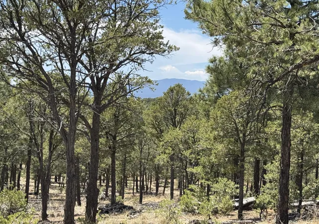 Photo 1 of Land for sale at Lot 20 Dancing Hawk Dr, Pecos, NM 87552 | MLS# 1110501 | Listing updated on 2026-09-08