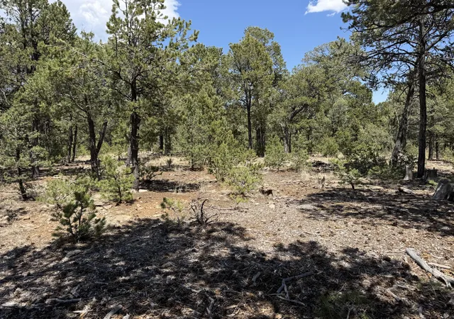 Photo 2 of Land for sale at Lot 20 Dancing Hawk Dr, Pecos, NM 87552 | MLS# 1110501 | Listing updated on 2026-09-08