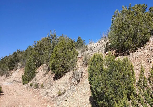 Photo 3 of Land for sale at Kelly Lynn Dr, Sandia Park, NM 87047 | MLS# 1110505 | Listing updated on 2026-09-05