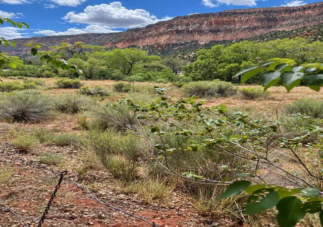 Photo 4 of Land for sale at Tbd Lot B 1, Jemez Springs, NM 87025 | MLS# 1110589 | Listing updated on 2026-09-09