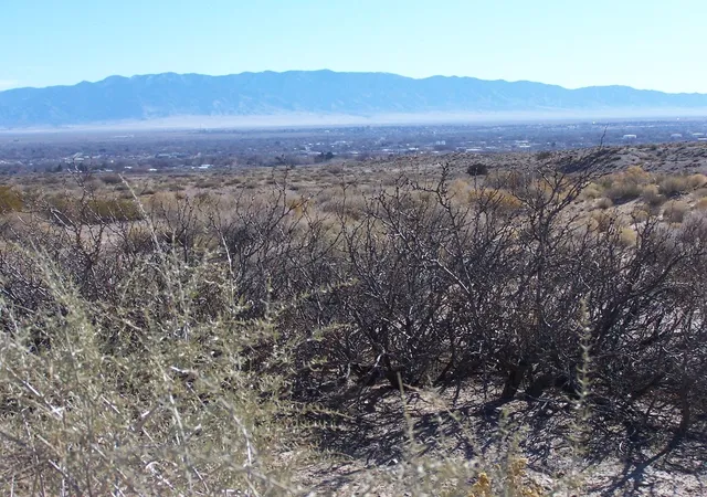 Photo 1 of Land for sale at 00 Erica Ln, Belen, NM 87002 | MLS# 1110597 | Listing updated on 2026-09-09