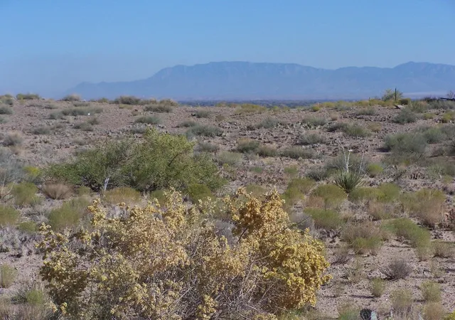Photo 3 of Land for sale at 00 Erica Ln, Belen, NM 87002 | MLS# 1110597 | Listing updated on 2026-09-09
