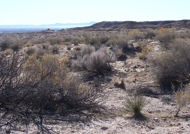 Photo 4 of Land for sale at 00 Erica Ln, Belen, NM 87002 | MLS# 1110597 | Listing updated on 2026-09-09